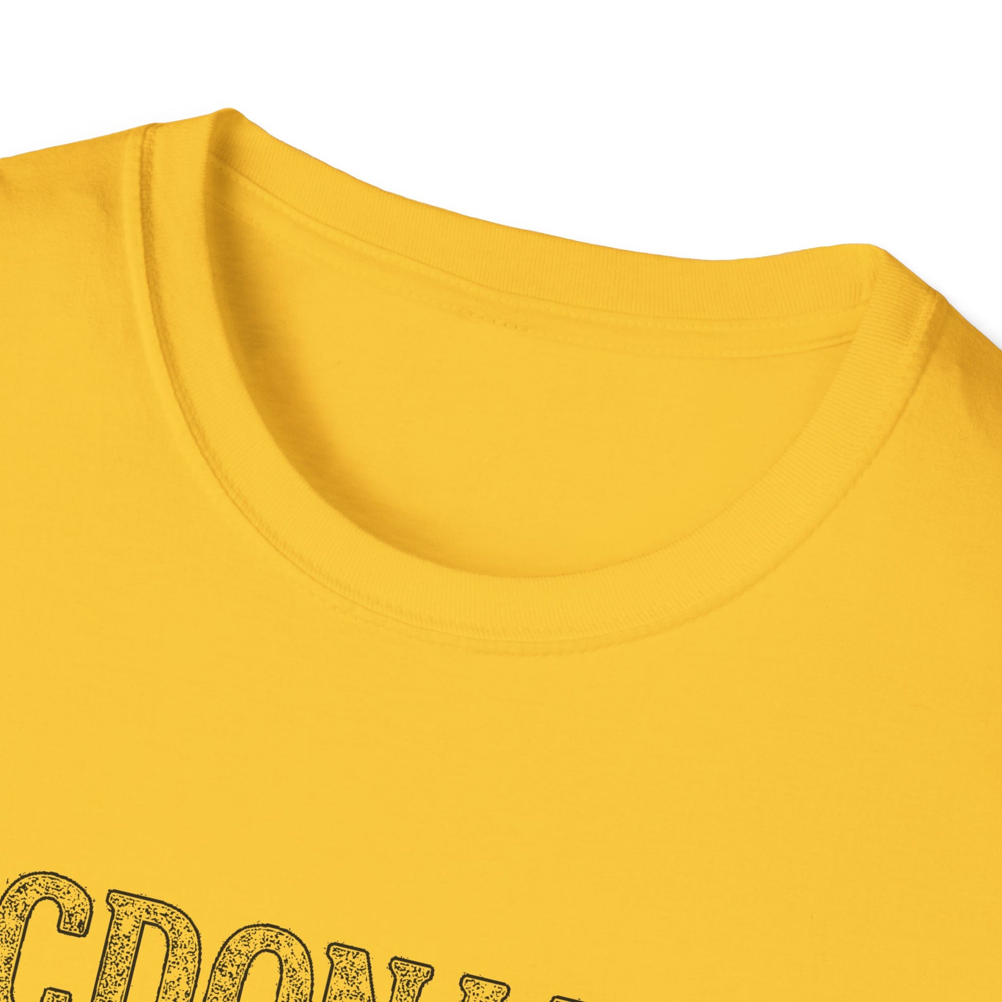 "MCDONALD'S CORNERS AGRICULTURAL HALL" T-SHIRT