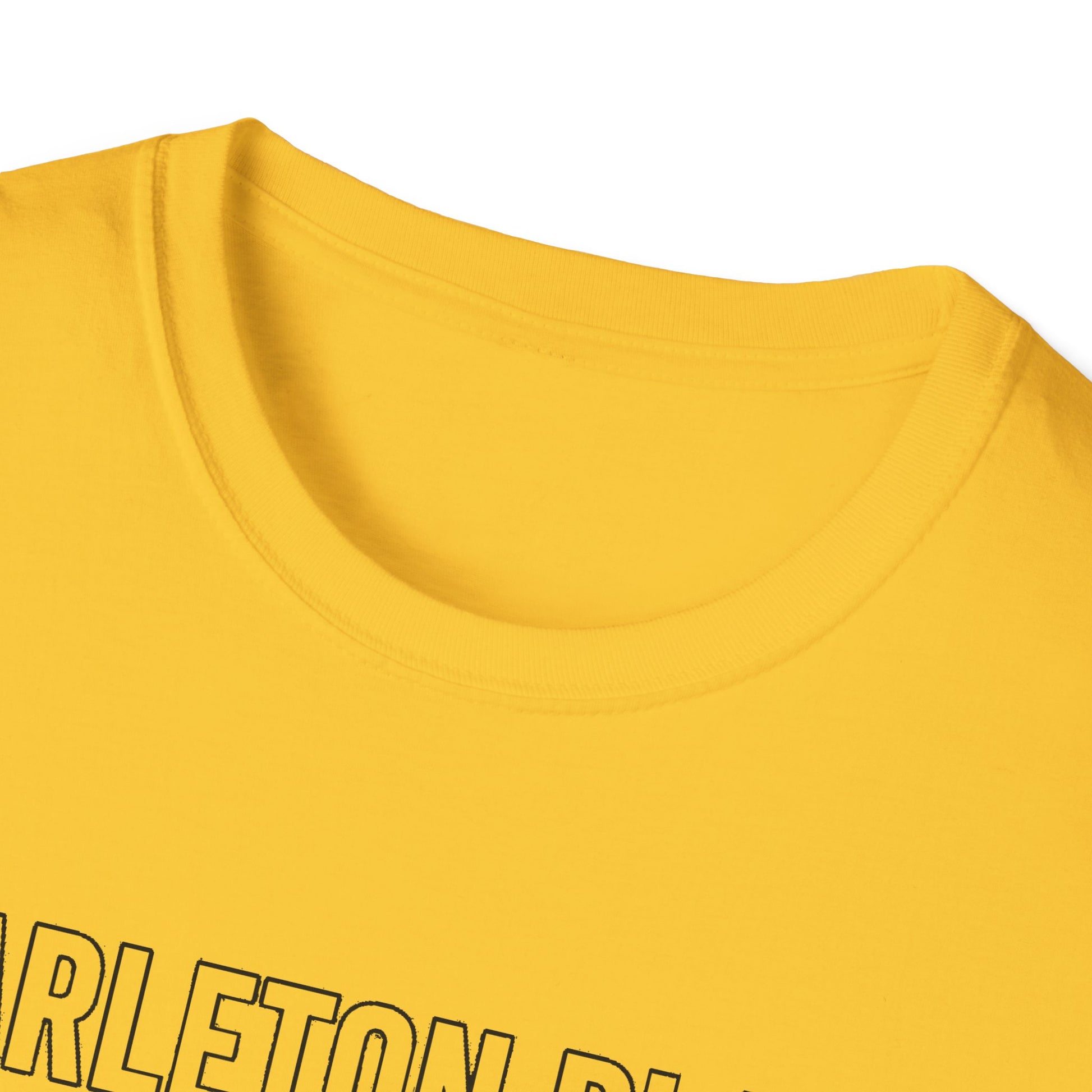 "CARLETON PLACE SMALL TOWN VIBES, BIG CITY TRAFFIC CARLETON PLACE" T-SHIRT